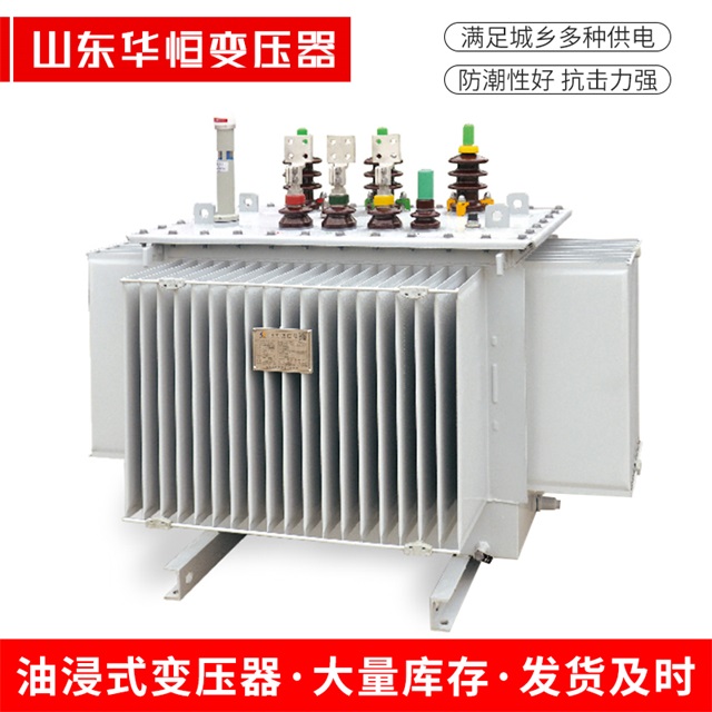 S13-10000/35隆子隆子隆子电力变压器