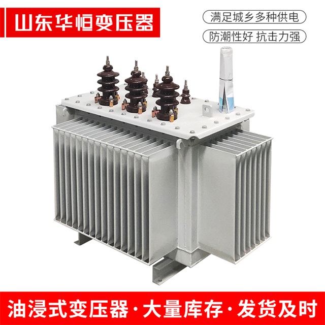 S11-10000/35隆子隆子隆子电力变压器价格